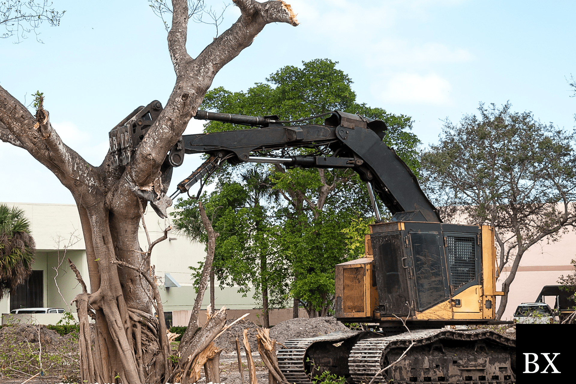 Dothan Tree Cutting Bond