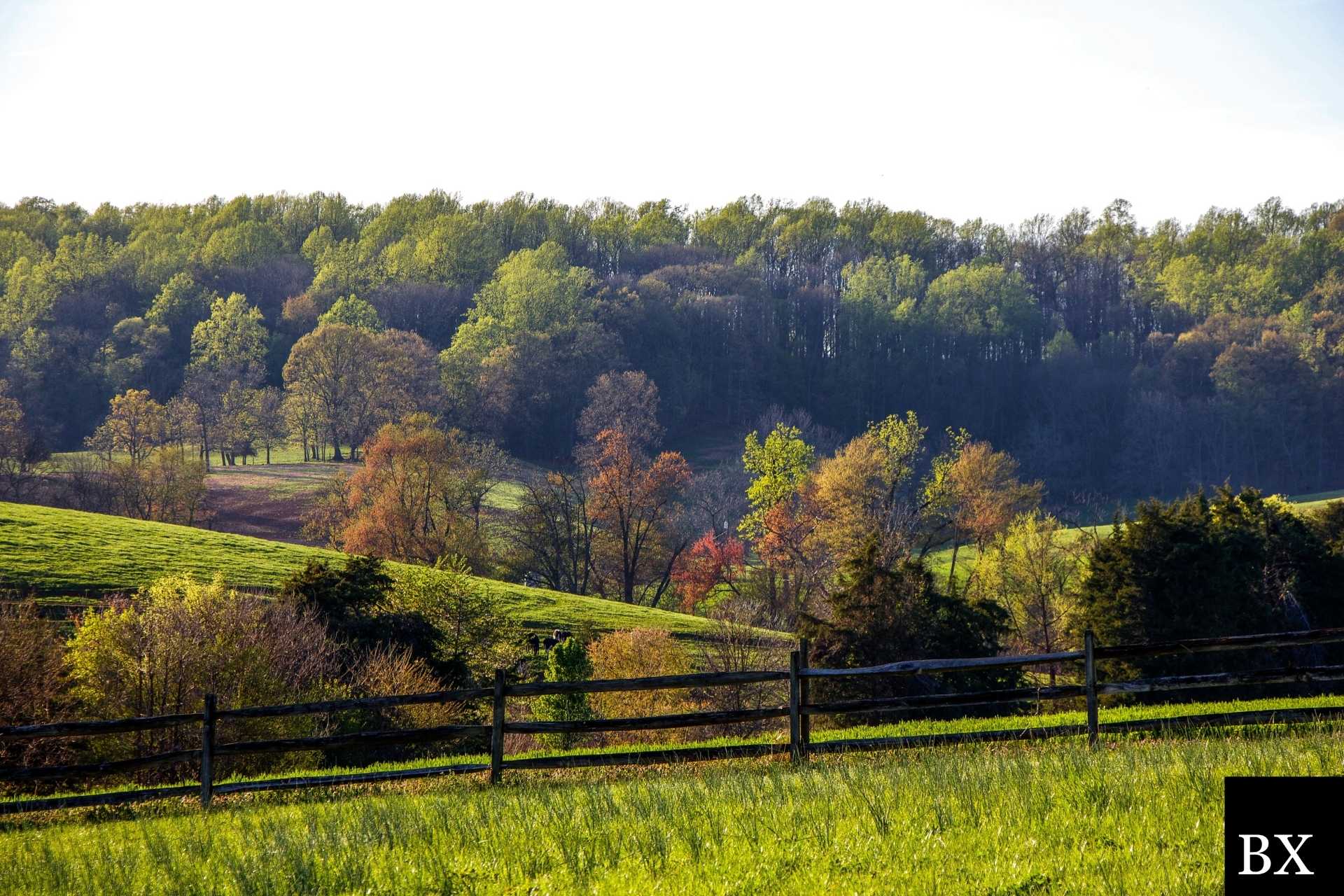 Virginia Mortgage Lender Bond