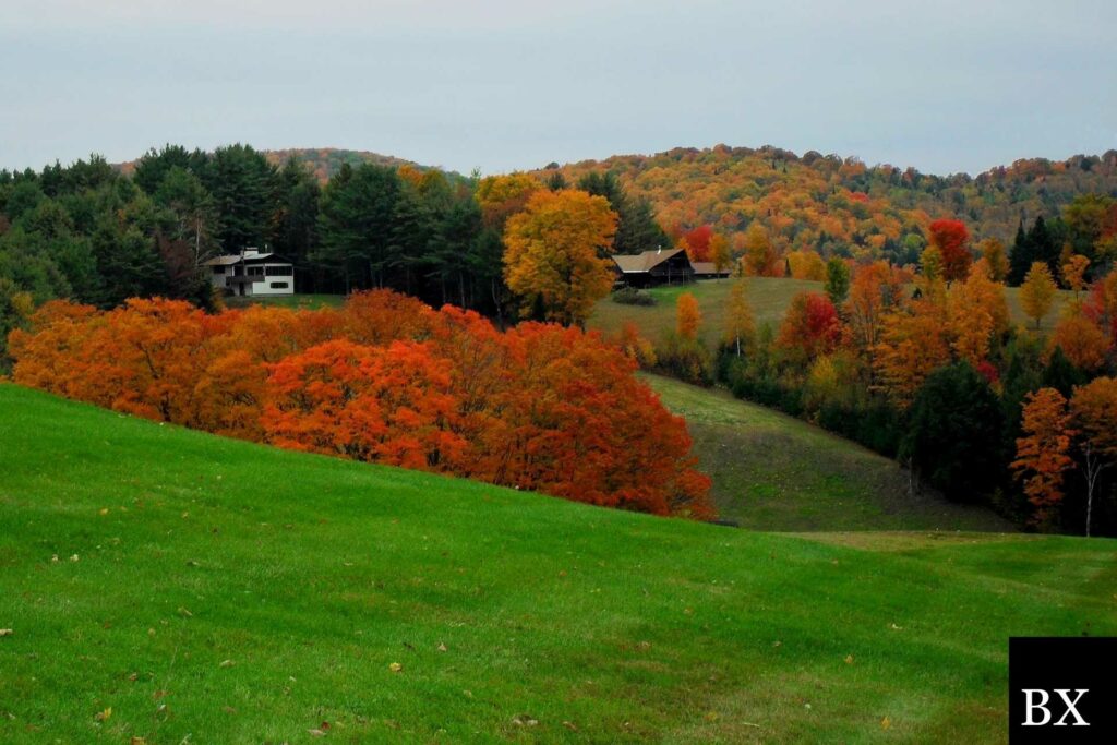 Vermont Loan Servicer Bond