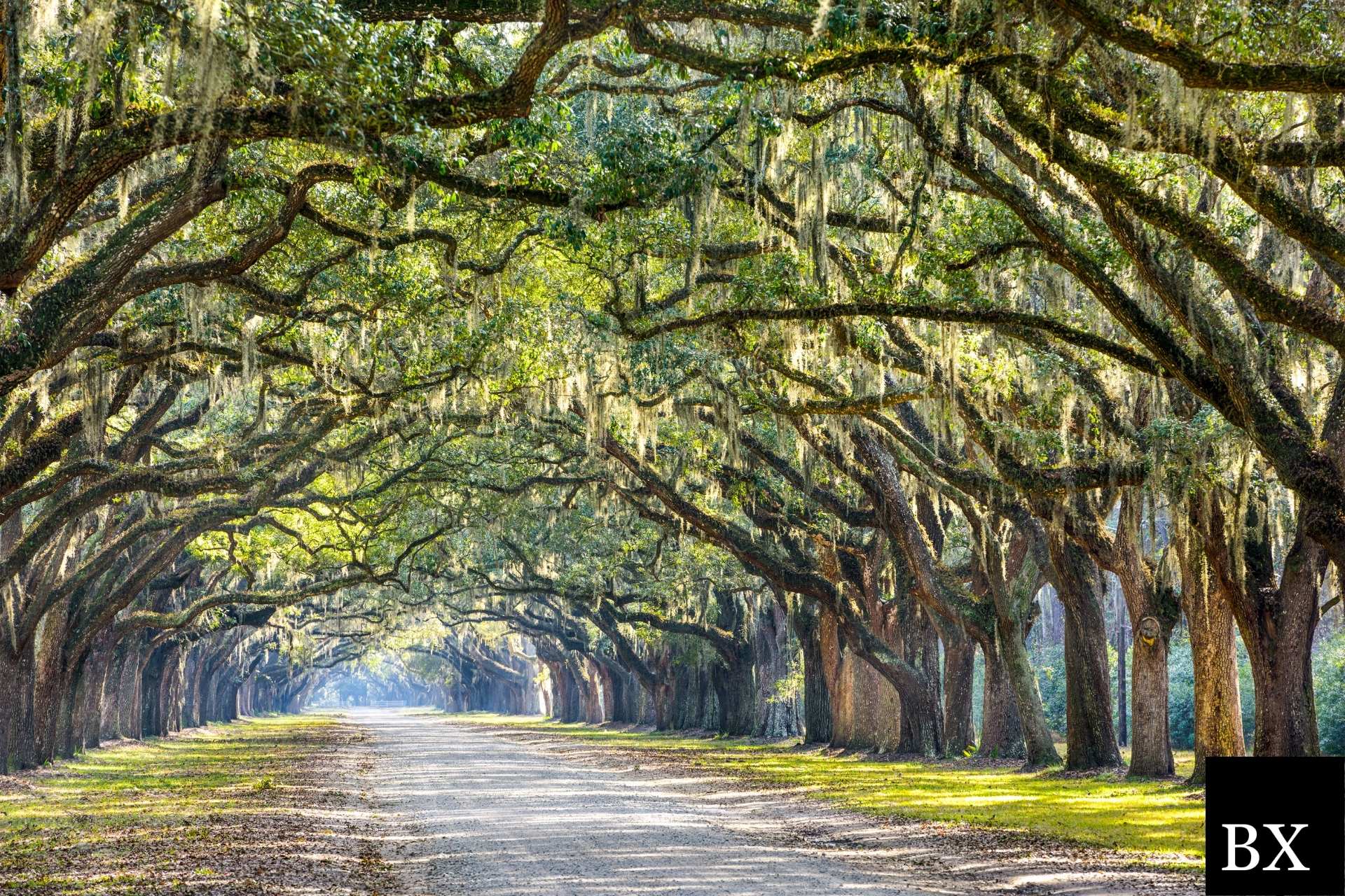 Georgia Long Term Care Facility Bond