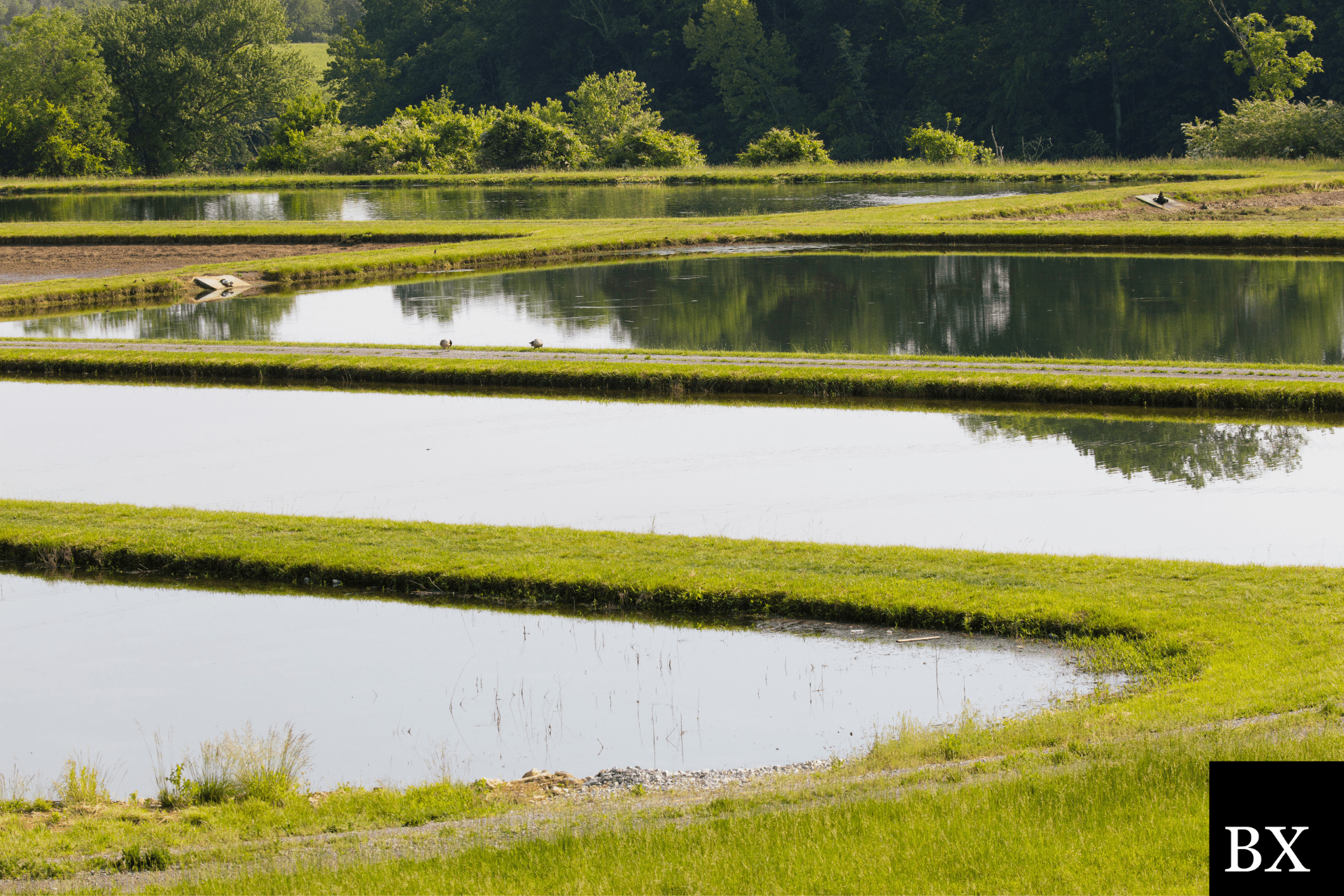 Wyoming Private Fish Hatchery Bond