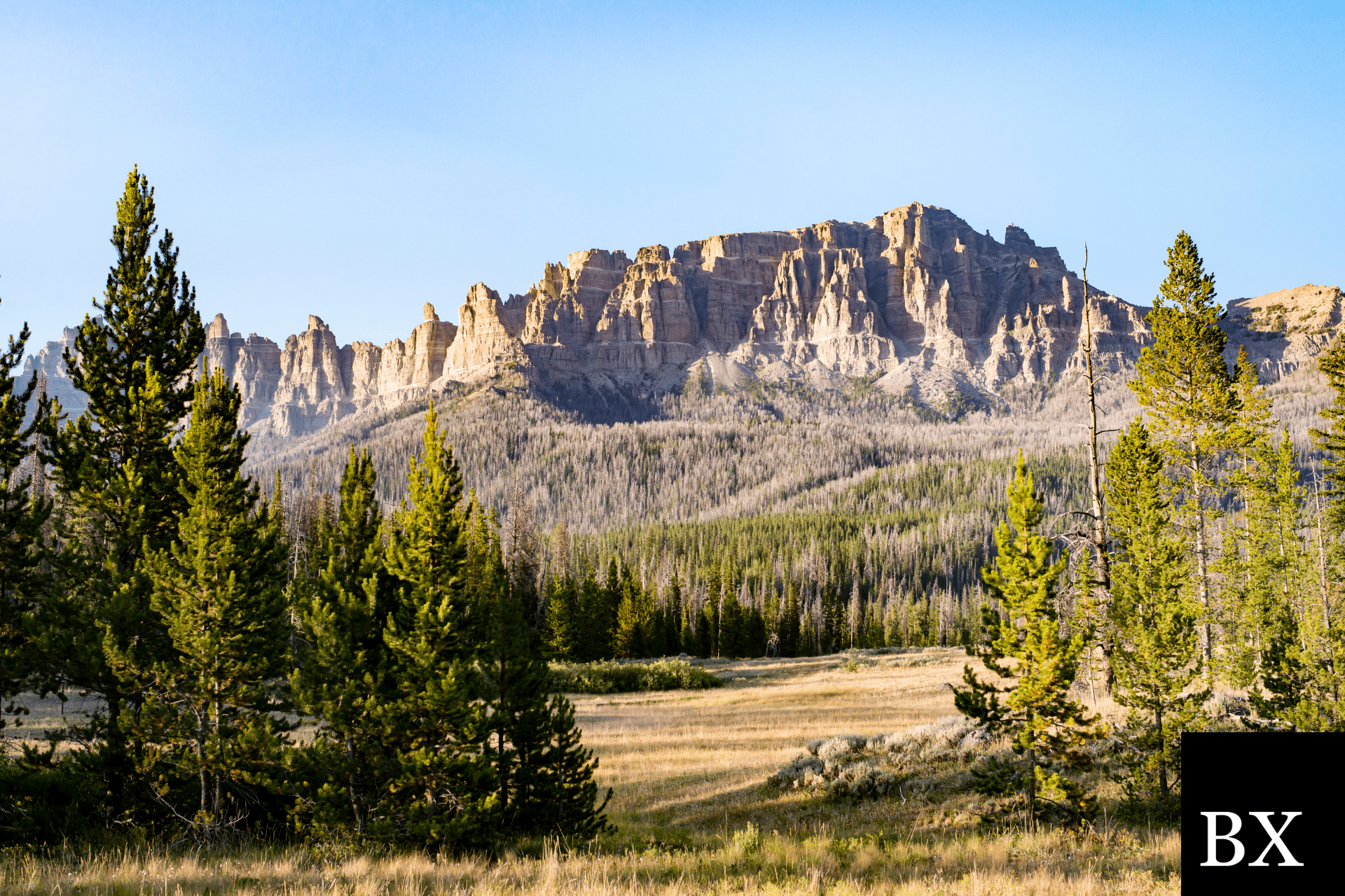 Wyoming Appraisal Management Company Bond