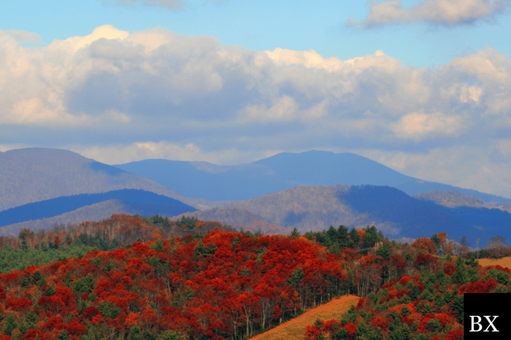 North Carolina Professional Solicitor Bond