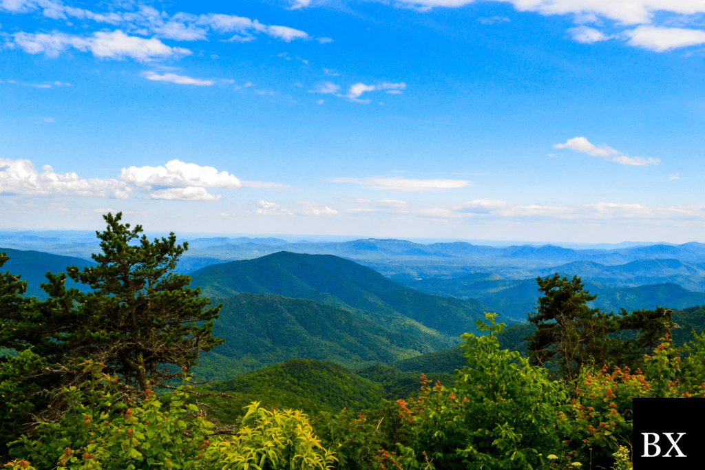 Asheville Pawnbroker Bond