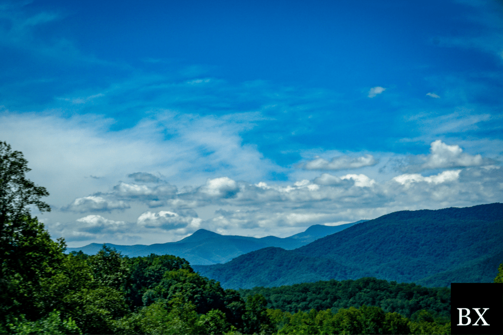 North Carolina Grain Dealer Bond